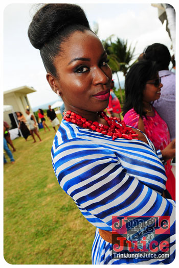 beach_house_bim_2013-038