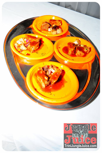 beach_house_bim_2013-078