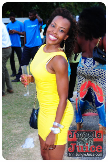 beach_house_bim_2013-079