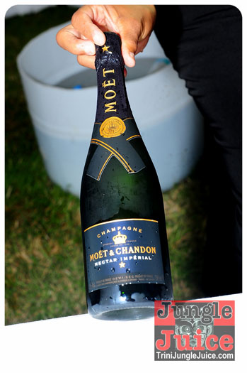 beach_house_bim_2013-082