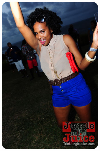 beach_house_bim_2013-087