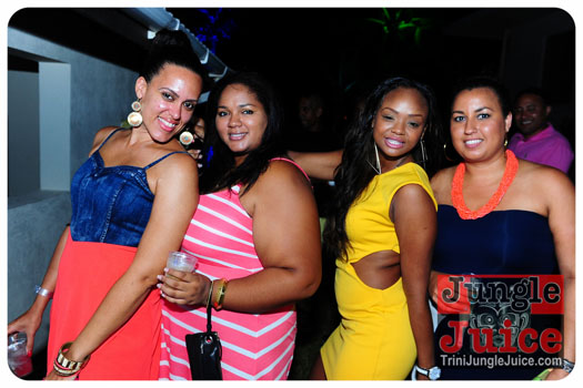 beach_house_bim_2013-111