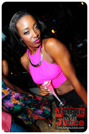 beach_house_bim_2013-122