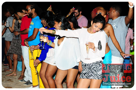 beach_house_bim_2013-127