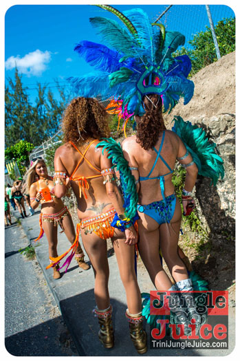 kadooment_day_2013_pt4-071