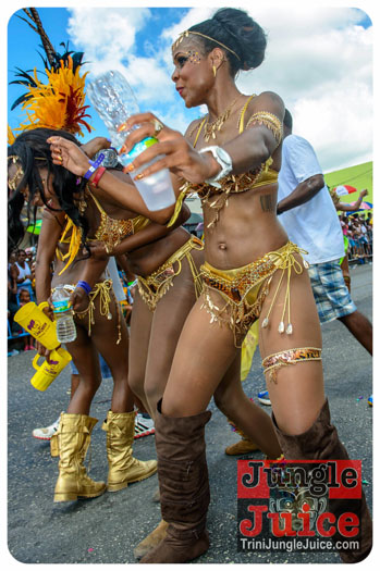 kadooment_day_2013_pt5-180