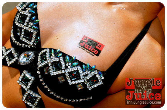 miami_parade_2013_pt6-039