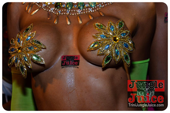 miami_parade_2013_pt8-201