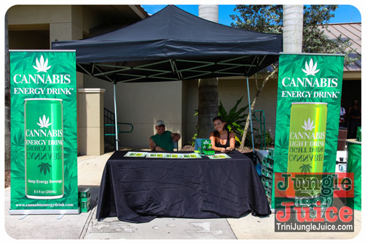 palm_beach_carnival_2013-010