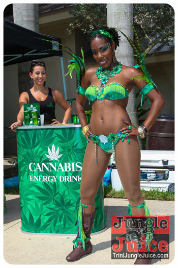 palm_beach_carnival_2013-011