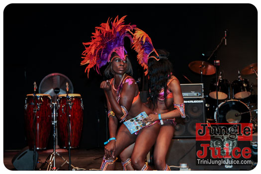 palm_beach_carnival_2013-139