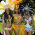 palm_beach_carnival_2013-005