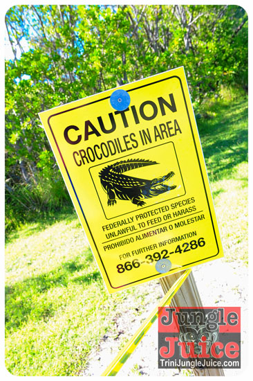 rise_meets_shine_2013-158