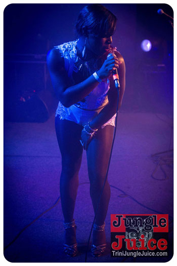 carnival_glow_2013-011