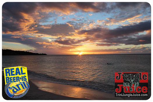 welcome_lime_umbrellas_aug9-023