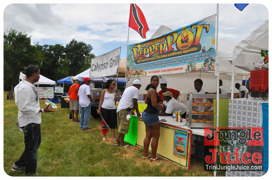 houston_parade_2013-020