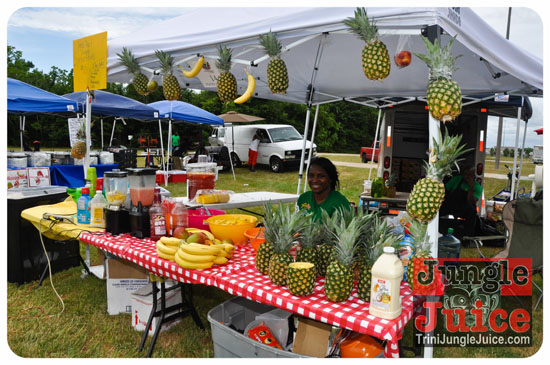 houston_parade_2013-021