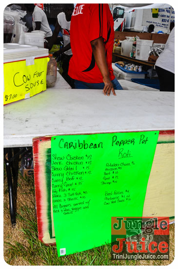 houston_parade_2013-022