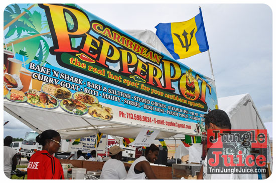 houston_parade_2013-023