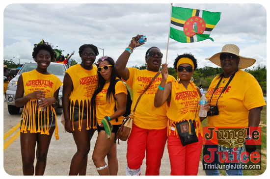 houston_parade_2013-035