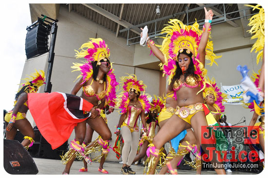 houston_parade_2013-109