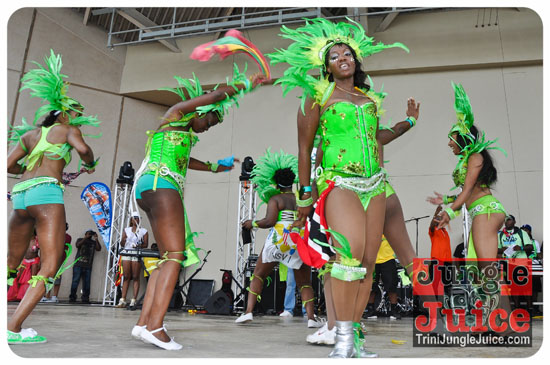 houston_parade_2013-112