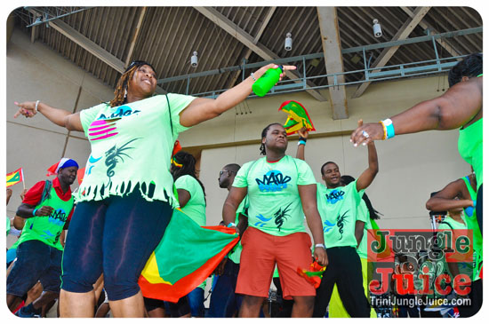 houston_parade_2013-115