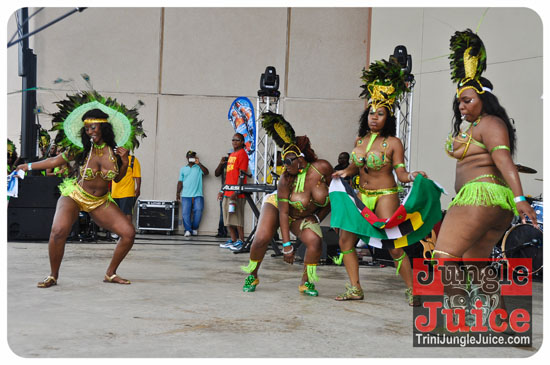 houston_parade_2013-144