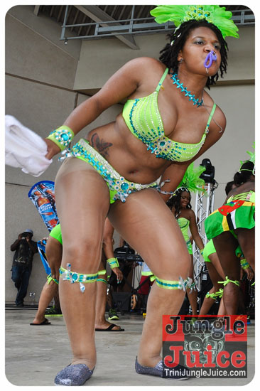 houston_parade_2013-158