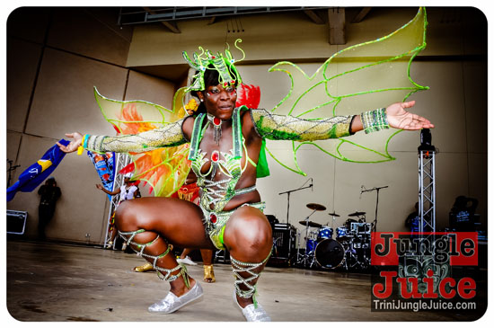 houston_parade_2013-162