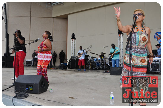 houston_parade_2013-179