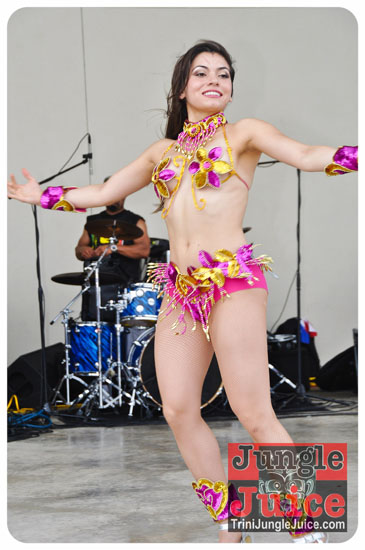 houston_parade_2013-183