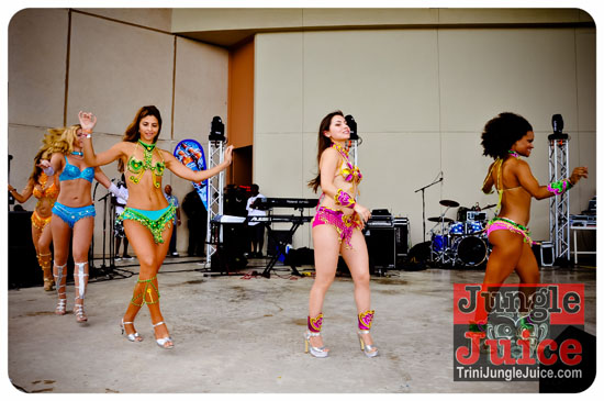 houston_parade_2013-187