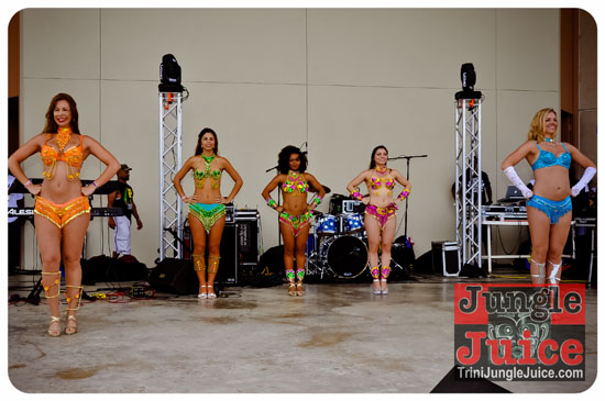 houston_parade_2013-188