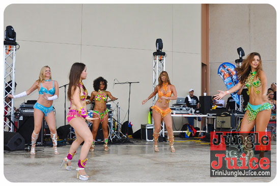 houston_parade_2013-189