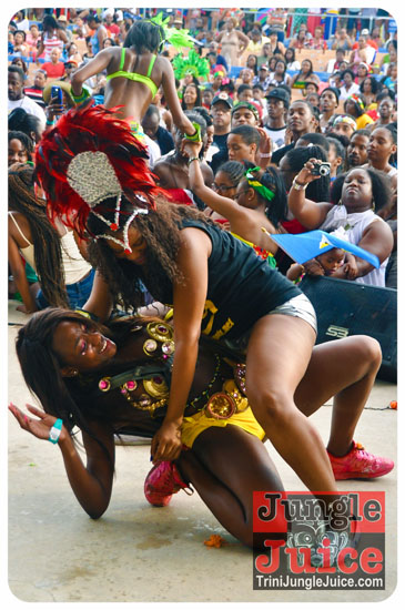 houston_parade_2013-214