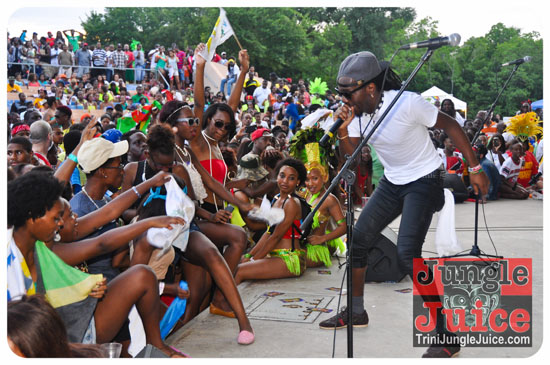 houston_parade_2013-229