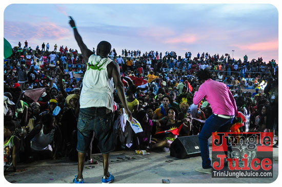 houston_parade_2013-235