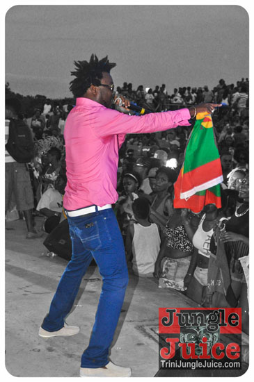 houston_parade_2013-238