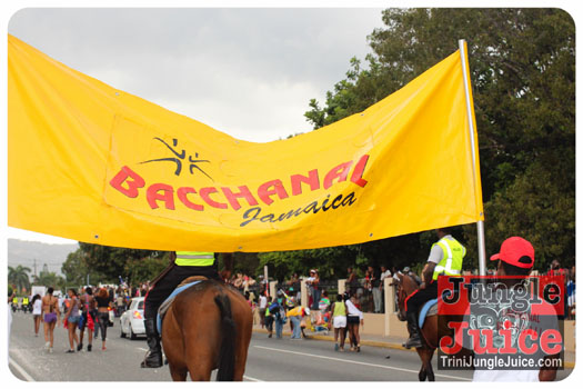 bacchanal_ja_roadmarch_2013_pt4-094