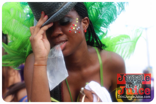 bacchanal_ja_roadmarch_2013_pt4-132