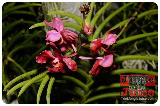 frenchmen_blocko_2013_part2-108