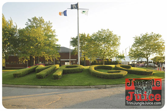 sugarcanes_blossom_may26-007