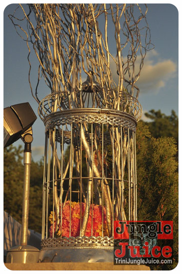 sugarcanes_blossom_may26-009