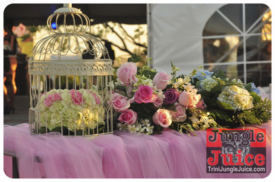 sugarcanes_blossom_may26-012