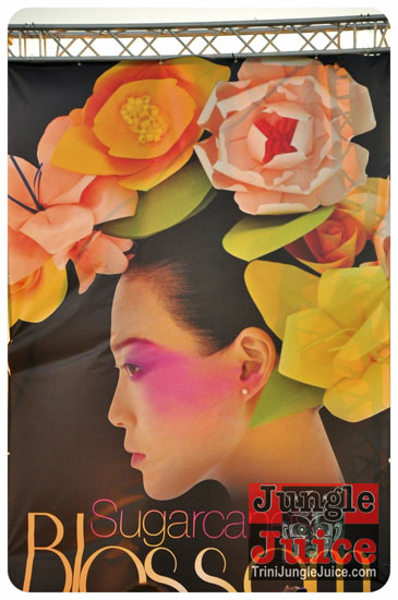 sugarcanes_blossom_may26-033