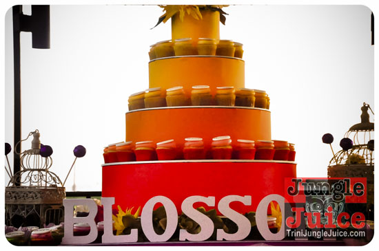 sugarcanes_blossom_may26-063