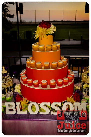 sugarcanes_blossom_may26-064