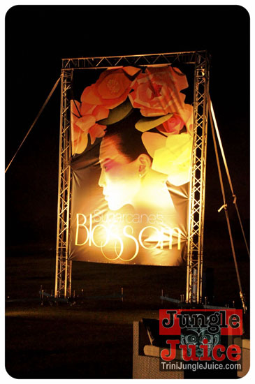 sugarcanes_blossom_may26-104