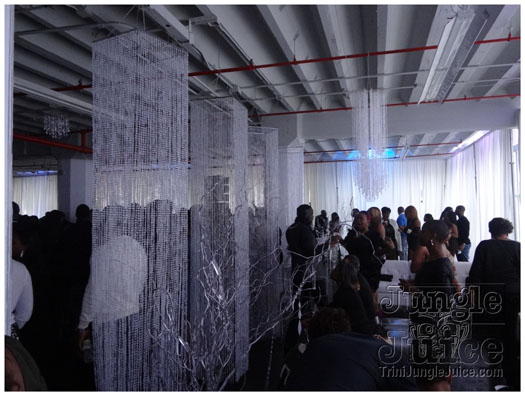 sugarcane_sparkle_2013-027